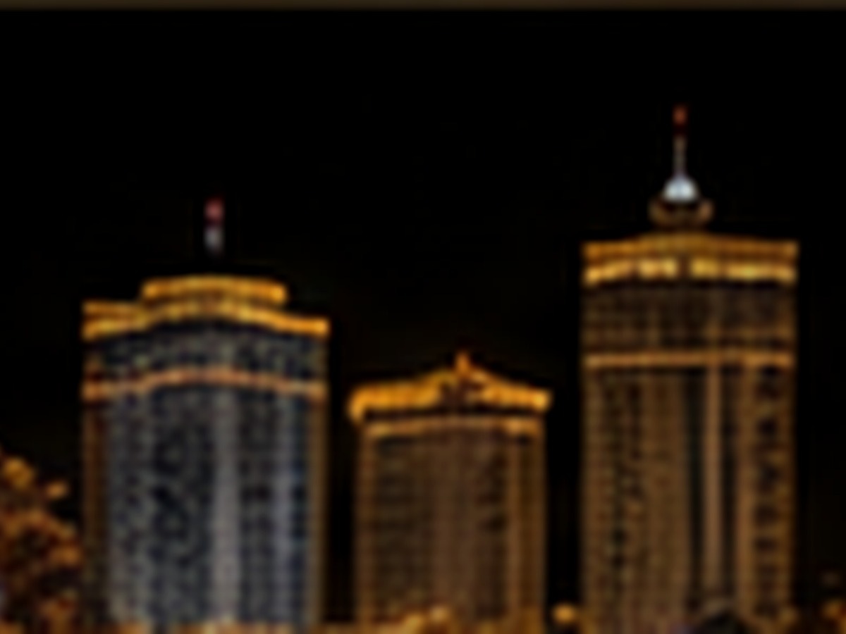 拉斯维加斯 城市夜景